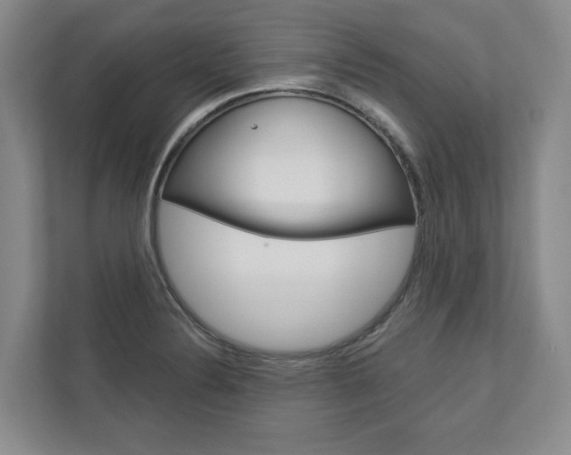 X0000113001324200908270912