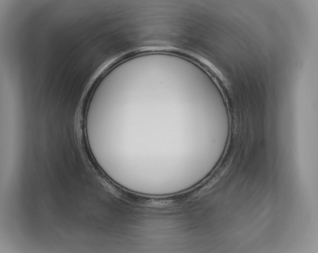 X0000113001325200908270912