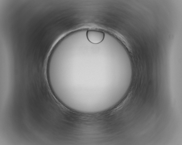 X0000113001326200908270912
