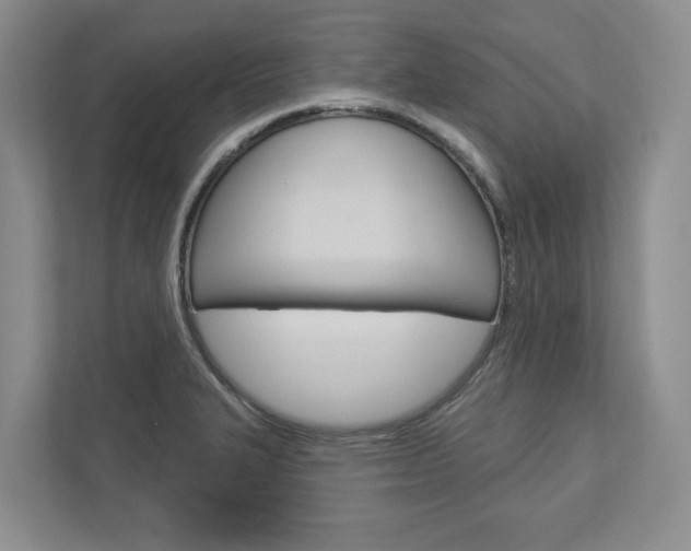 X0000113001327200908270912