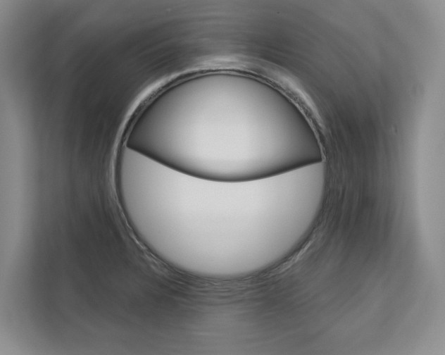 X0000113001328200908270912