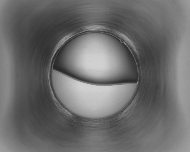 X0000113001330200908270912