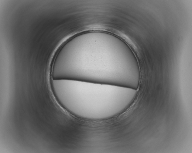 X0000113001331200908270912