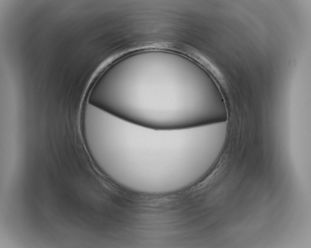 X0000113001332200908270912