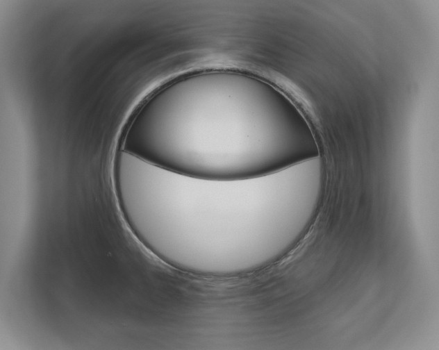 X0000113001334200908270912