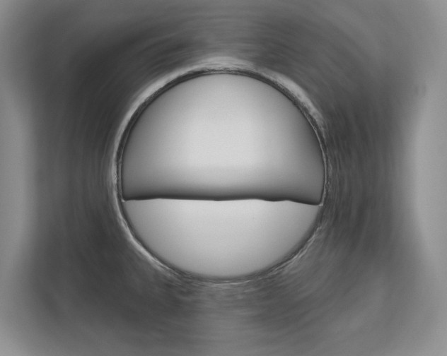 X0000113001335200908270912