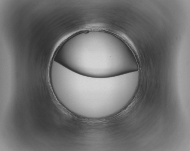 X0000113001336200908270912
