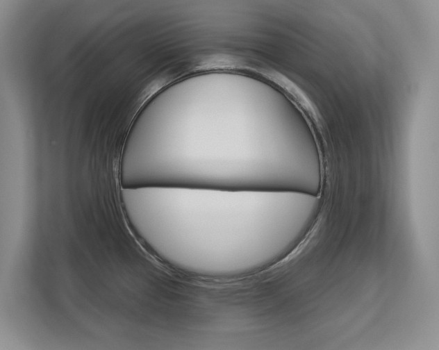 X0000113001337200908270912