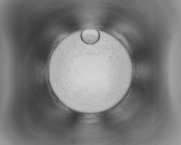 X0000113001338200908270912
