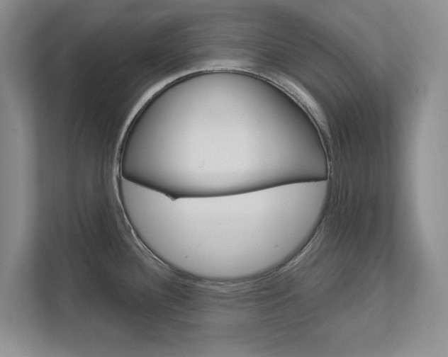 X0000113001340200908270912