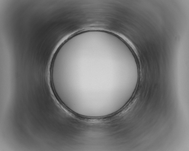 X0000113001341200908270912