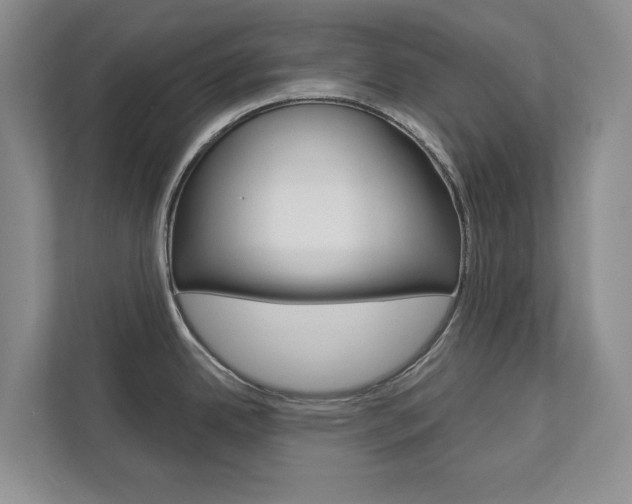X0000113001342200908270912