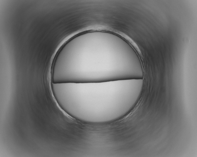X0000113001343200908270912