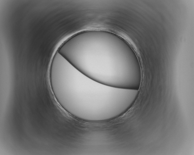 X0000113001344200908270912