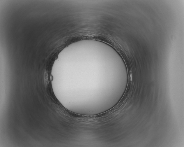 X0000113001347200908270911