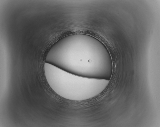 X0000113001348200908270911