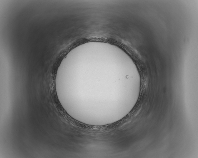 X0000113001350200908270911
