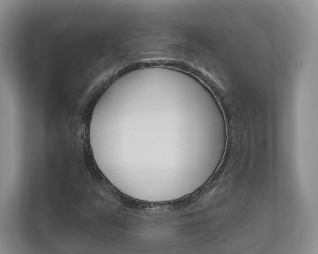 X0000113001351200908270911