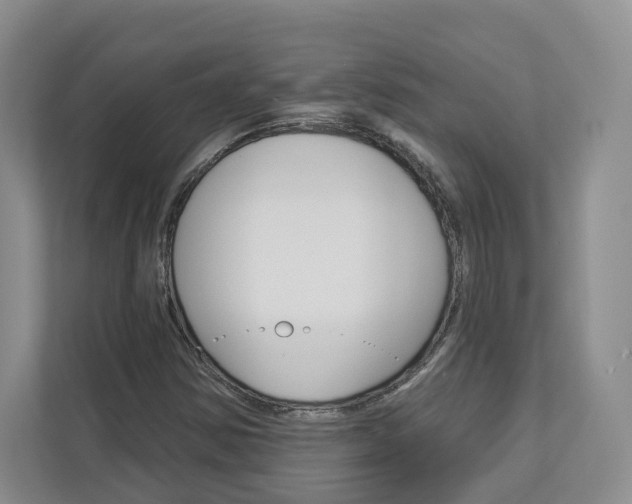X0000113001354200908270911