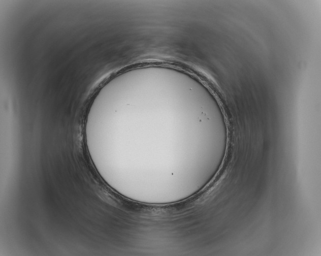 X0000113001355200908270911