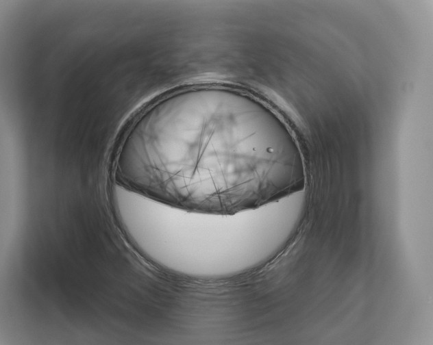 X0000113001356200908270911