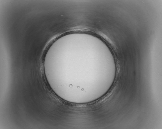 X0000113001358200908270911