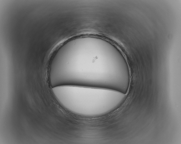 X0000113001359200908270911