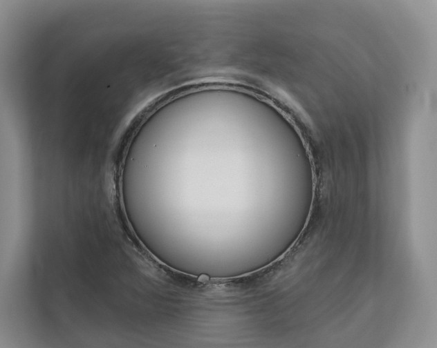X0000113001360200908270911
