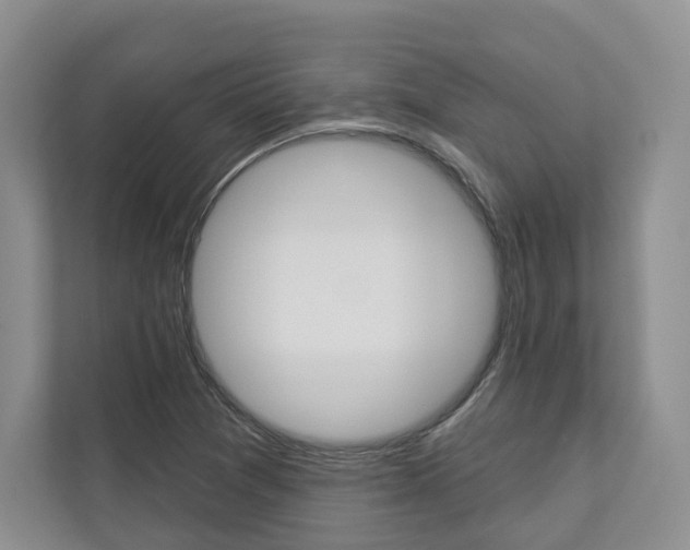 X0000113001361200908270911