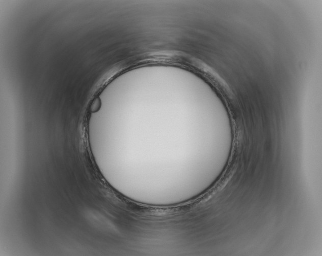 X0000113001362200908270911