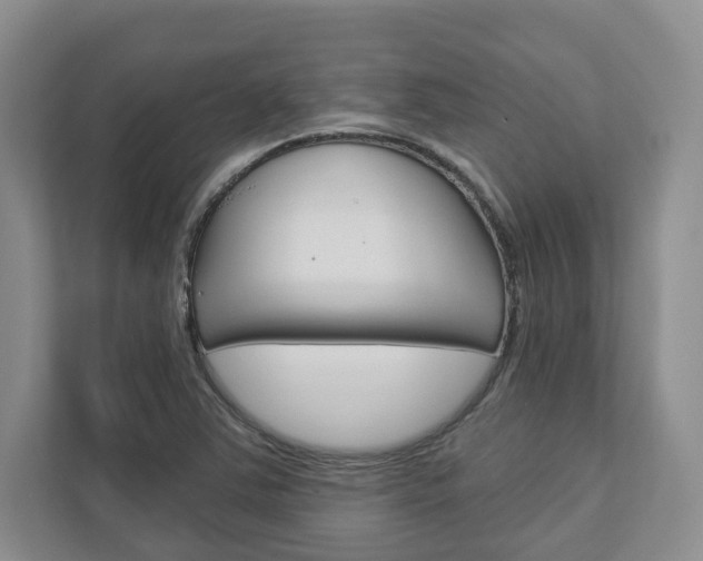 X0000113001363200908270911