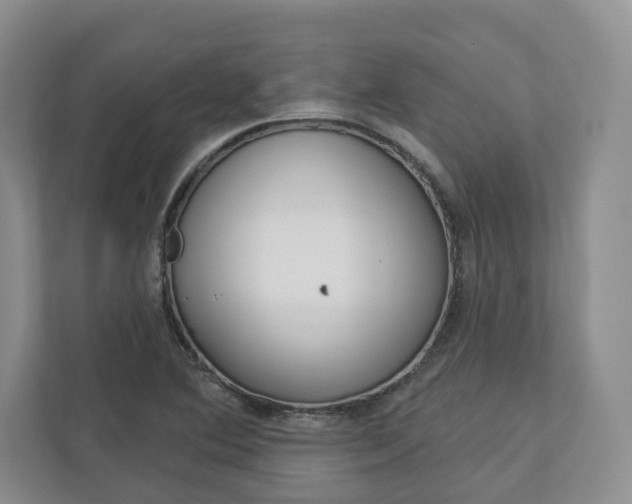 X0000113001364200908270911