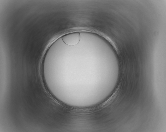 X0000113001365200908270911