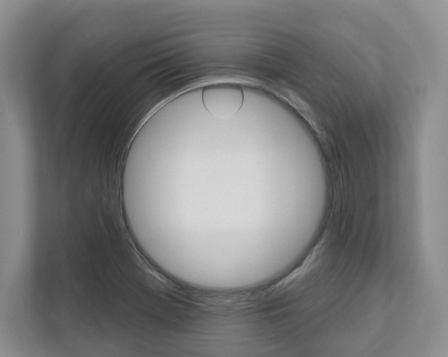 X0000113001369200908270911