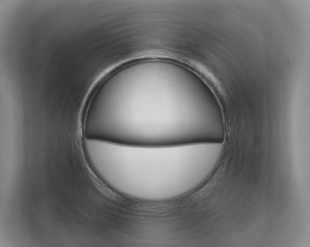 X0000113001372200908270911