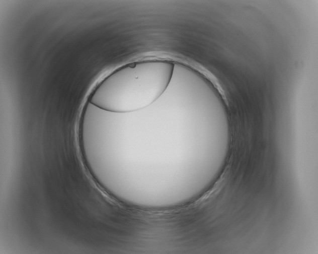 X0000113001373200908270911
