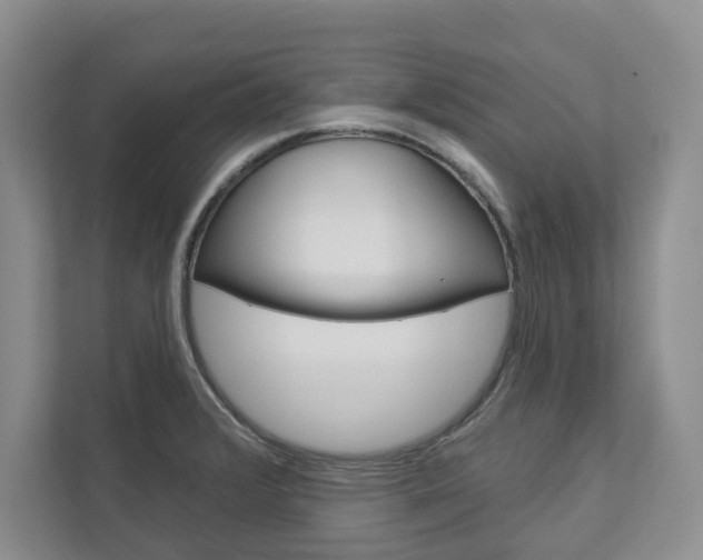 X0000113001376200908270911