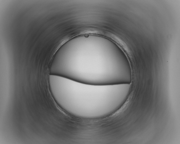 X0000113001377200908270911