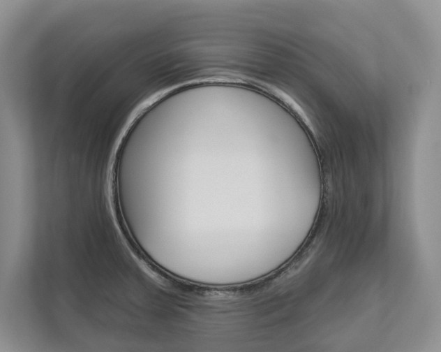 X0000113001379200908270911