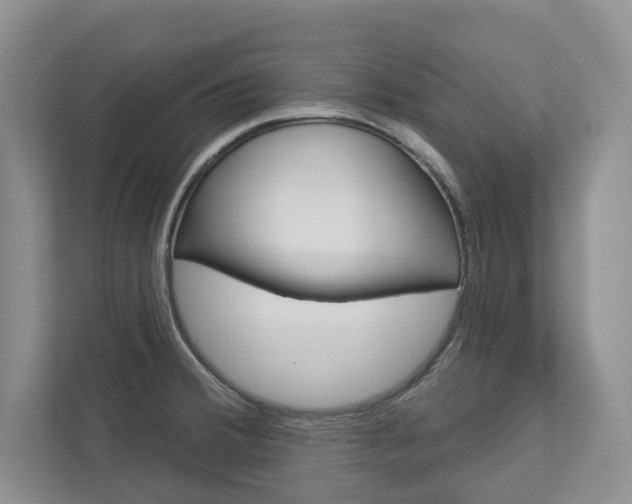 X0000113001380200908270911