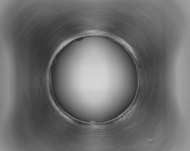 X0000113001381200908270911