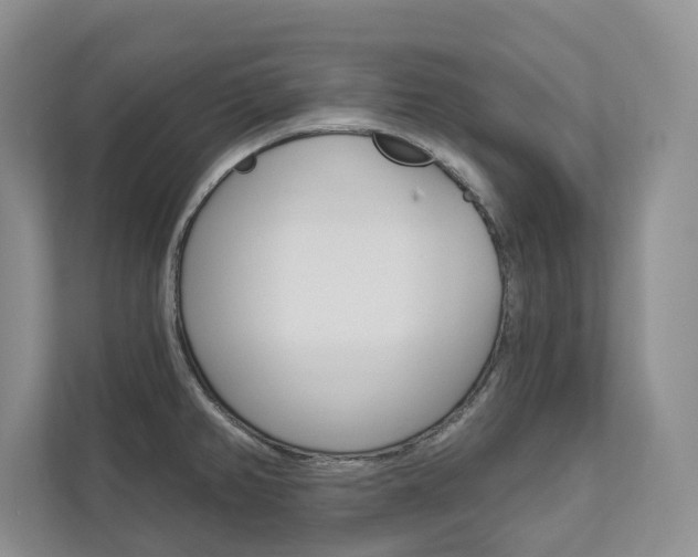 X0000113001382200908270911