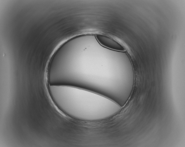 X0000113001383200908270911