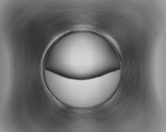 X0000113001384200908270911