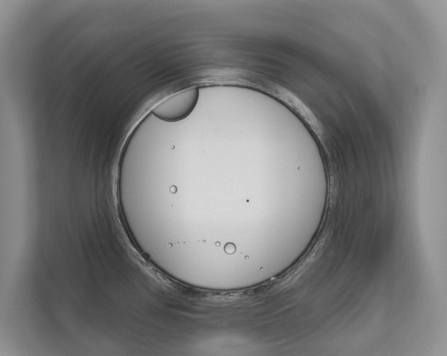 X0000113001386200908270911