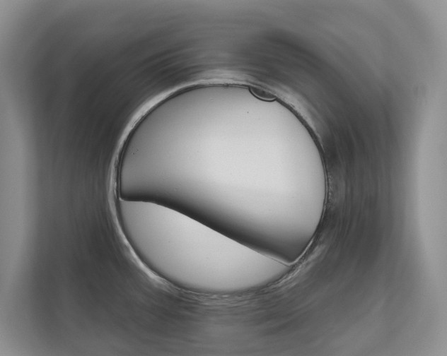 X0000113001387200908270911