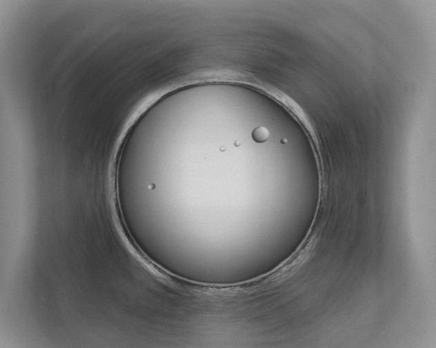 X0000113001389200908270911