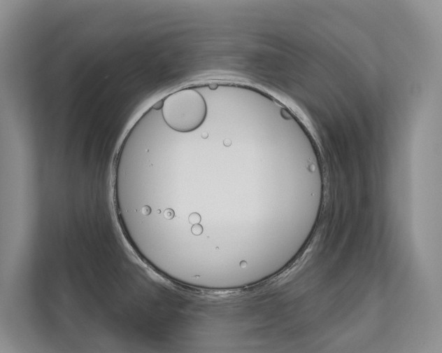 X0000113001390200908270911