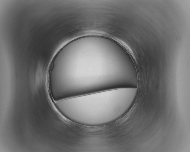 X0000113001391200908270911