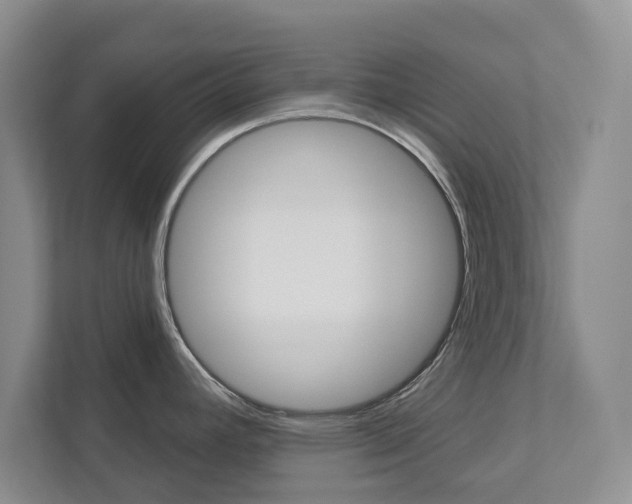 X0000113001392200908270911